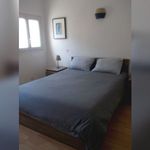 Rent 1 bedroom apartment in SAINT-PALAIS-SUR-MER