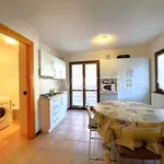 Rent 3 bedroom apartment of 55 m² in Chiesa in Valmalenco