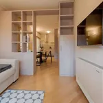 Rent 1 bedroom apartment of 50 m² in bologna