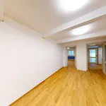 Rent 3 bedroom apartment in Plzeň