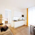 Rent 1 bedroom apartment of 35 m² in cologne