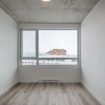  appartement avec 1 chambre(s) en location à Montreal