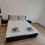 Rent 3 bedroom apartment of 100 m² in Каменица 1