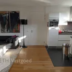 Rent 3 bedroom apartment of 96 m² in Binnenstad