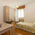 Affitto 4 camera appartamento di 80 m² in Modena