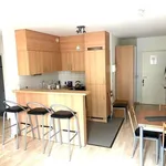 Rent 1 bedroom apartment in Bruxelles