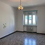 Rent 3 bedroom apartment of 75 m² in Torino