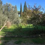 Rent 1 bedroom house of 28 m² in Firenze