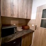 Rent 1 bedroom apartment of 38 m² in Toruń