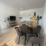 Huur 2 slaapkamer appartement van 53 m² in Aalst