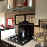 Rent 2 bedroom apartment of 40 m² in Pisa