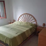 Rent 3 bedroom apartment of 42 m² in San Nicola Arcella