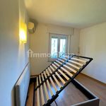 Rent 2 bedroom apartment of 55 m² in Parma