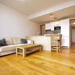 Rent 1 bedroom apartment of 65 m² in Prague