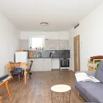 Rent 2 bedroom apartment of 57 m² in Týniště nad Orlicí