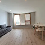 Rent 1 bedroom apartment in London