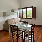 Rent 2 bedroom apartment of 56 m² in Zagarolo