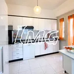 Rent 3 bedroom apartment of 79 m² in Pescara