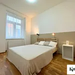 Rent 4 bedroom apartment in Brno