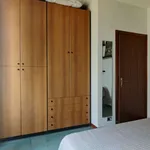 Rent 1 bedroom apartment in milan