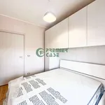 Rent 3 bedroom apartment of 85 m² in Torino