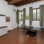 Rent 1 bedroom apartment in Florence