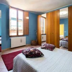 Rent 1 bedroom apartment in Bologna