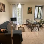 Rent 2 bedroom apartment of 58 m² in Torino