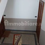 Rent 3 bedroom apartment of 80 m² in Turin