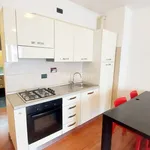 Rent 1 bedroom apartment of 40 m² in Roma