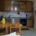 Rent 3 bedroom apartment of 45 m² in Follonica