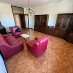 Rent 6 bedroom apartment of 170 m² in Potenza