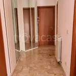 Rent 3 bedroom apartment of 80 m² in Padova