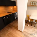 Pronajměte si 1 ložnic/e byt o rozloze 35 m² v Brno