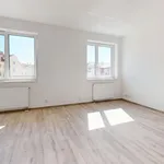 Pronajměte si 1 ložnic/e byt o rozloze 44 m² v Pilsen