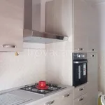 Rent 4 bedroom apartment of 100 m² in Isernia