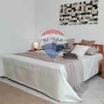 1-bedroom flat excellent condition, ground floor, Centro, Lanciano