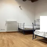 Rent 5 bedroom apartment of 100 m² in L'Aquila