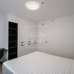 Rent 2 bedroom apartment of 60 m² in Prague