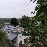 Rent 3 bedroom apartment of 61 m² in Gelsenkirchen