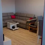 Rent 2 bedroom apartment of 48 m² in Włocławek