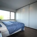 Maison de 682 m² avec 3 chambre(s) en location à Avelgem