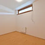 Rent 3 bedroom apartment in Brno