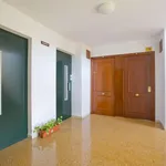 Rent 3 bedroom apartment in Seville