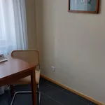 Rent 1 bedroom apartment of 27 m² in Prague