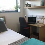 Rent 1 bedroom apartment in Sunderland