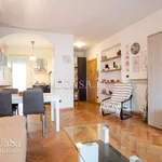 Rent 3 bedroom apartment of 75 m² in Pisa