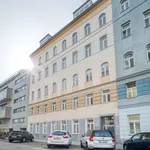 Rent 3 bedroom apartment of 74 m² in Vienna