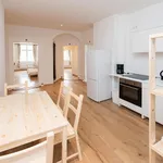 Rent 4 bedroom apartment in Munich