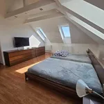 Rent 5 bedroom house in České Budějovice